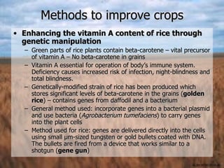 Methods to improve crops
• Enhancing the vitamin A content of rice through
  genetic manipulation
  – Green parts of rice plants contain beta-carotene – vital precursor
    of vitamin A – No beta-carotene in grains
  – Vitamin A essential for operation of body’s immune system.
    Deficiency causes increased risk of infection, night-blindness and
    total blindness.
  – Genetically-modified strain of rice has been produced which
    stores significant levels of beta-carotene in the grains (golden
    rice) – contains genes from daffodil and a bacterium
  – General method used: incorporate genes into a bacterial plasmid
    and use bacteria (Agrobacterium tumefaciens) to carry genes
    into the plant cells
  – Method used for rice: genes are delivered directly into the cells
    using small μm-sized tungsten or gold bullets coated with DNA.
    The bullets are fired from a device that works similar to a
    shotgun (gene gun)

                                                               ALBIO9700/2006JK
 