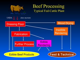 Beef Processing
Typical Fed-Cattle Plant
USDA

Ante mortem

Blood Drying

Dressing Floor

Inedible
Rendering

Fabrication
Further Process

Edible Beef Products

Edible
Rendering
Feed & Technical

 