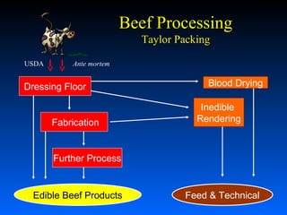 Beef Processing
Taylor Packing
USDA

Ante mortem

Dressing Floor
Fabrication

Blood Drying
Inedible
Rendering

Further Process

Edible Beef Products

Feed & Technical

 