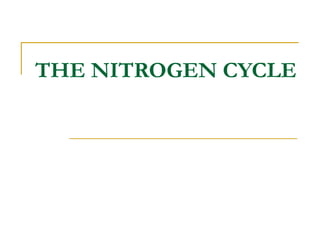 THE NITROGEN CYCLE

 