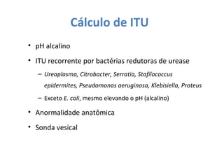Cálculo de ITU
• pH alcalino
• ITU recorrente por bactérias redutoras de urease
– Ureaplasma, Citrobacter, Serratia, Stafilococcus
epidermites, Pseudomonas aeruginosa, Klebisiella, Proteus
– Exceto E. coli, mesmo elevando o pH (alcalino)
• Anormalidade anatômica
• Sonda vesical
 
