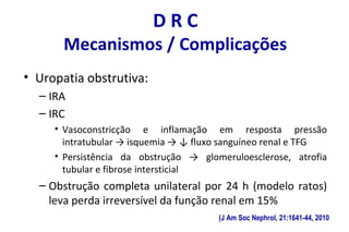 D R C
Mecanismos / Complicações
• Uropatia obstrutiva:
– IRA
– IRC
• Vasoconstricção e inflamação em resposta pressão
intratubular → isquemia → ↓ fluxo sanguíneo renal e TFG
• Persistência da obstrução → glomeruloesclerose, atrofia
tubular e fibrose intersticial
– Obstrução completa unilateral por 24 h (modelo ratos)
leva perda irreversível da função renal em 15%
(J Am Soc Nephrol, 21:1641-44, 2010
 