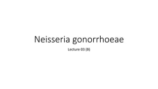 Neisseria gonorrhoeae
Lecture 03 (B)
 