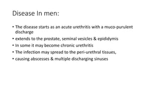 Disease In men:
• The disease starts as an acute urethritis with a muco-purulent
discharge
• extends to the prostate, seminal vesicles & epididymis
• In some it may become chronic urethritis
• The infection may spread to the peri-urethral tissues,
• causing abscesses & multiple discharging sinuses
 