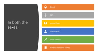 In both the
sexes:
Blood,
CSF, s
ynovial fluid,
throat swab,
rectal swab &
material from skin rashes
 