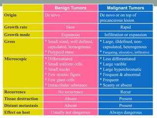 Benign Tumors Malignant Tumors
Origin De novo De novo or on top of
precancerous lesion
Growth rate Slow Rapid
Growth mode Expansion Infiltration or expansion
Gross * Small sized, well defined,
capsulated, homogenous
* Polypoid mass
* Large, illdefined, non-
capsulated, heterogenous
* Fungating, ulcerative, infiltrative
Microscopic * Differentiated
* Small uniform cells
* Small nuclei
* Few mitotic figure
* Few giant cells
* Intracellular substance
* Less differentiated
* Large varible
* Large hyperchromatic
* Frequent & abnormal
* Frequent
* Scanty or absent
Recurrence No recurrence Recur
Tissue destruction Absent Present
Distant metastasis Absent Present
Effect on host Usually not dangerous Always dangerous
 