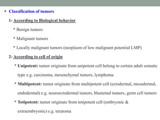  Classification of tumors
1- According to Biological behavior
* Benign tumors
* Malignant tumors
* Locally malignant tumors (neoplasm of low malignant potential LMP)
2- According to cell of origin
* Unipotent: tumor originate from unipotent cell belong to certain adult somatic
type e.g. carcinoma, mesenchymal tumors, lymphoma
* Multipotent: tumor originate from multipotent cell (ectodermal, mesodermal,
endodermal) e.g. neuroectodermal tumors, blastemal tumors, germ cell tumors
* Totipotent: tumor originate from totipotent cell (embryonic &
extraembryonic) e.g. teratoma
 