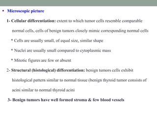  Microscopic picture
1- Cellular differentiation: extent to which tumor cells resemble comparable
normal cells, cells of benign tumors closely mimic corresponding normal cells
* Cells are usually small, of equal size, similar shape
* Nuclei are usually small compared to cytoplasmic mass
* Mitotic figures are few or absent
2- Structural (histological) differentiation: benign tumors cells exhibit
histological pattern similar to normal tissue (benign thyroid tumor consists of
acini similar to normal thyroid acini
3- Benign tumors have well formed stroma & few blood vessels
 