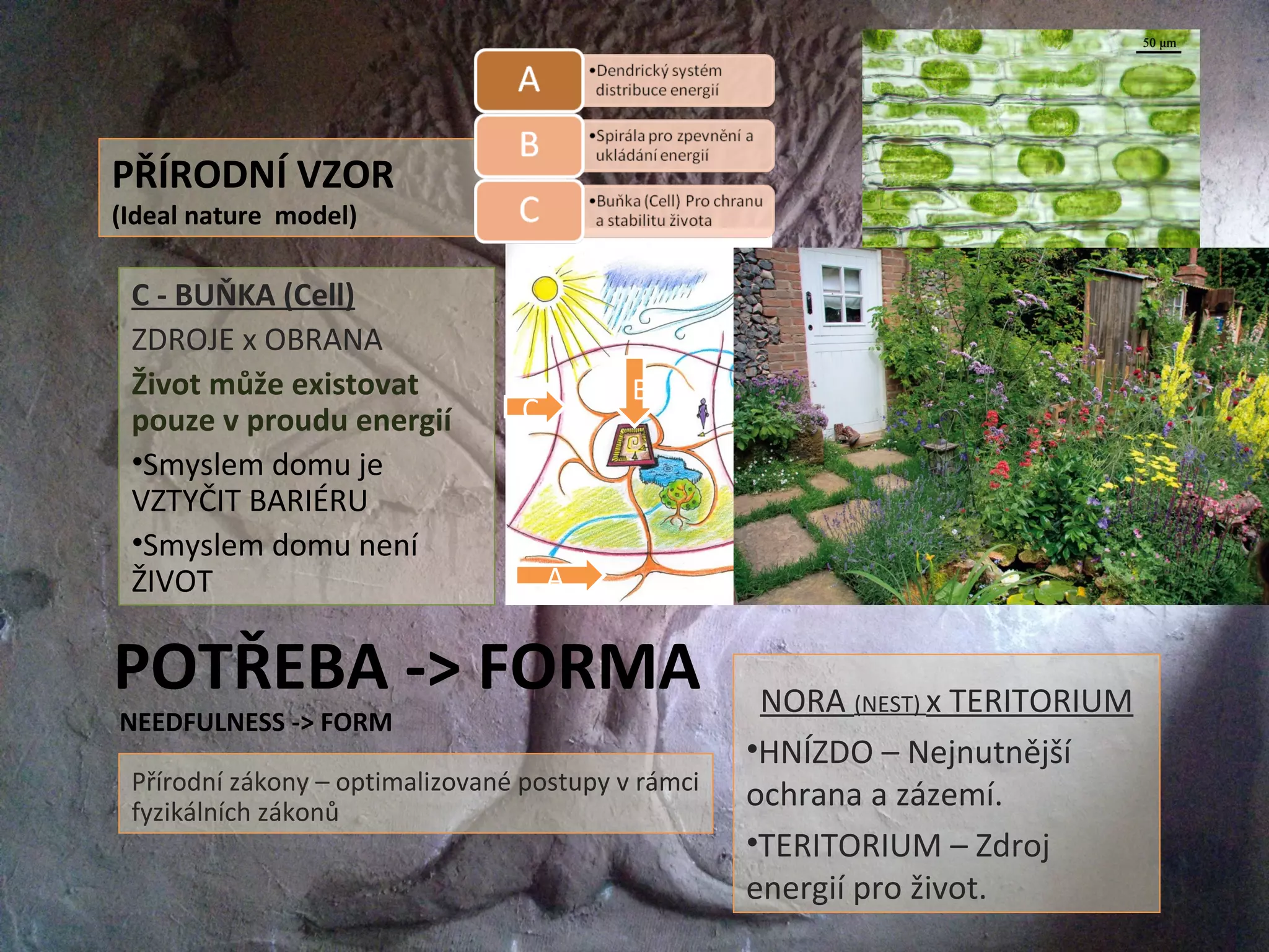 POTŘEBA -> FORMA
NEEDFULNESS -> FORM
PŘÍRODNÍ VZOR
(Ideal nature model)
C - BUŇKA (Cell)
ZDROJE x OBRANA
Život může existovat
pouze v proudu energií
•Smyslem domu je
VZTYČIT BARIÉRU
•Smyslem domu není
ŽIVOT
NORA (NEST) x TERITORIUM
•HNÍZDO – Nejnutnější
ochrana a zázemí.
•TERITORIUM – Zdroj
energií pro život.
B
A
C
Přírodní zákony – optimalizované postupy v rámci
fyzikálních zákonů
 