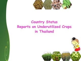 Country Status Reports on Underutilized Crops by Nuengruethai