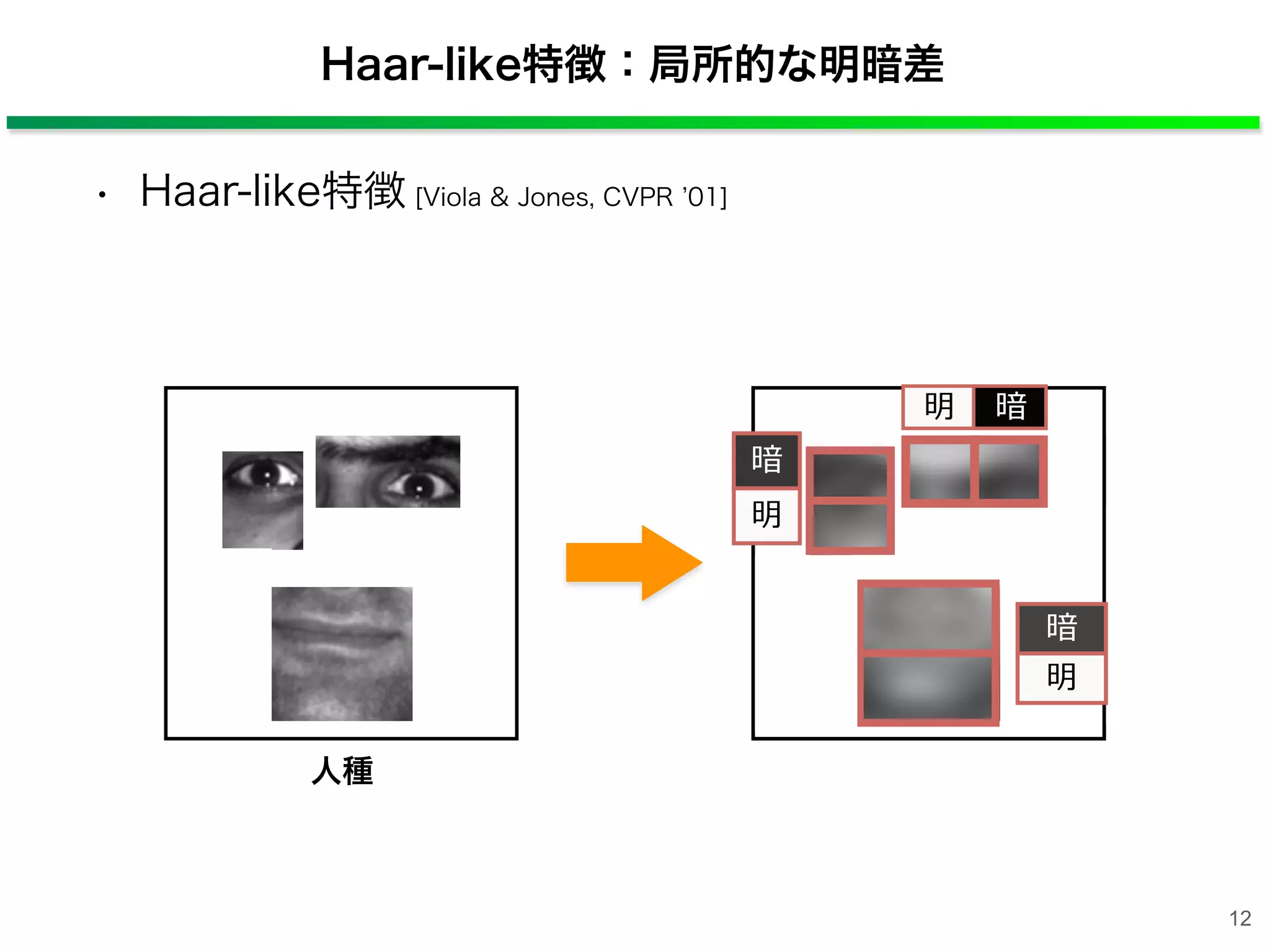 Haar-like特徴：局所的な明暗差
• Haar-like特徴 [Viola & Jones, CVPR 01]
12
人種
暗
明
暗明
暗
明
 