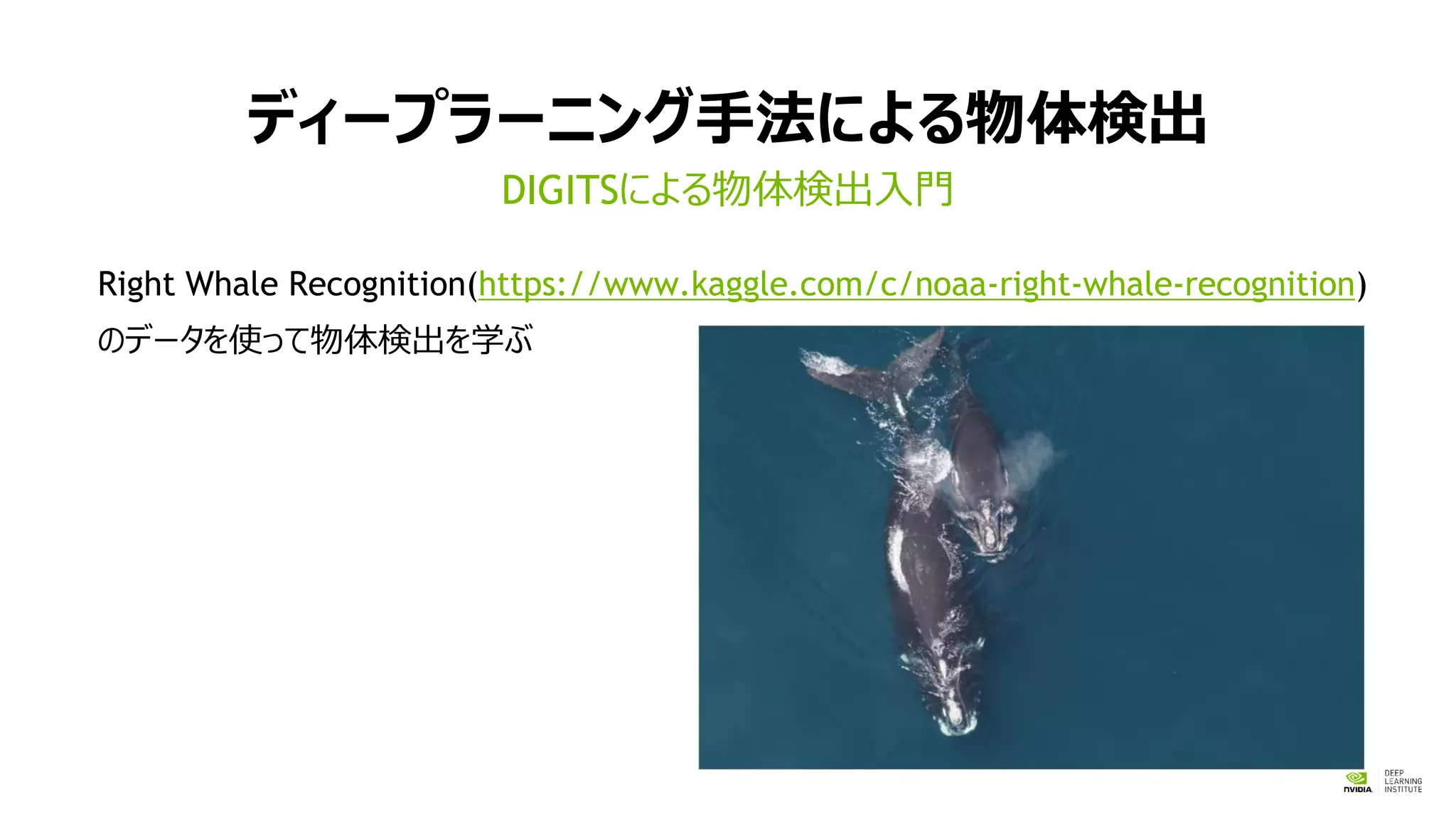 ディープラーニング手法による物体検出
Right Whale Recognition(https://www.kaggle.com/c/noaa-right-whale-recognition)
のデータを使って物体検出を学ぶ
DIGITSによる物体検出入門
 