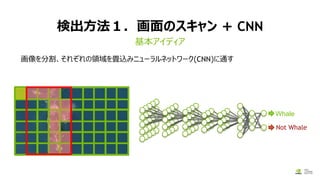 検出方法１．画面のスキャン + CNN
画像を分割、それぞれの領域を畳込みニューラルネットワーク(CNN)に通す
基本アイディア
Whale
Not Whale
 