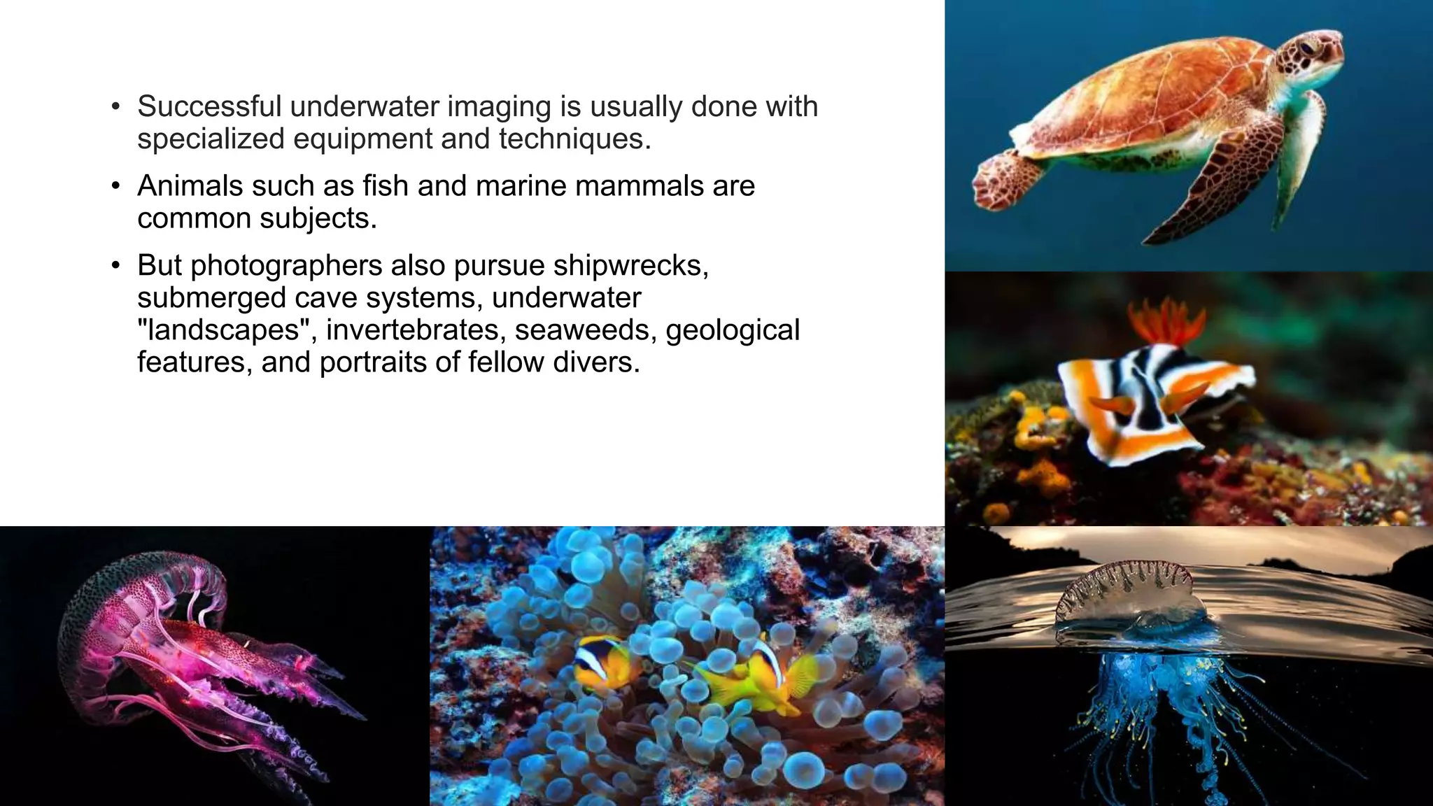 12
• Successful underwater imaging is usually done with
specialized equipment and techniques.
• Animals such as fish and marine mammals are
common subjects.
• But photographers also pursue shipwrecks,
submerged cave systems, underwater
"landscapes", invertebrates, seaweeds, geological
features, and portraits of fellow divers.
 