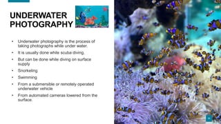 1111
UNDERWATER
PHOTOGRAPHY
• Underwater photography is the process of
taking photographs while under water.
• It is usually done while scuba diving.
• But can be done while diving on surface
supply
• Snorkeling
• Swimming
• From a submersible or remotely operated
underwater vehicle
• From automated cameras lowered from the
surface.
11
 