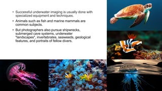 12
• Successful underwater imaging is usually done with
specialized equipment and techniques.
• Animals such as fish and marine mammals are
common subjects.
• But photographers also pursue shipwrecks,
submerged cave systems, underwater
"landscapes", invertebrates, seaweeds, geological
features, and portraits of fellow divers.
 
