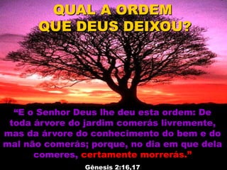 “E o Senhor Deus lhe deu esta ordem: De
toda árvore do jardim comerás livremente,
mas da árvore do conhecimento do bem e do
mal não comerás; porque, no dia em que dela
comeres, certamente morrerás.”
Gênesis 2:16,17
QUAL A ORDEM
QUE DEUS DEIXOU?
 
