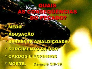 * MEDO
* ACUSAÇÃO
* SERPENTE AMALDIÇOADA
* SURGIMENTO DA DOR
* CARDOS E ESPINHOS
* MORTE. Gênesis 3:9-19
QUAIS
AS CONSEQÜÊNCIAS
DO PECADO?
 