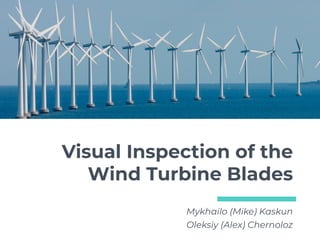 Visual Inspection of the
Wind Turbine Blades
Mykhailo (Mike) Kaskun
Oleksiy (Alex) Chernoloz
 