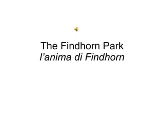 The Findhorn Park l’anima di Findhorn 