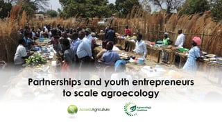 Partnerships and youth entrepreneurs
to scale agroecology
 