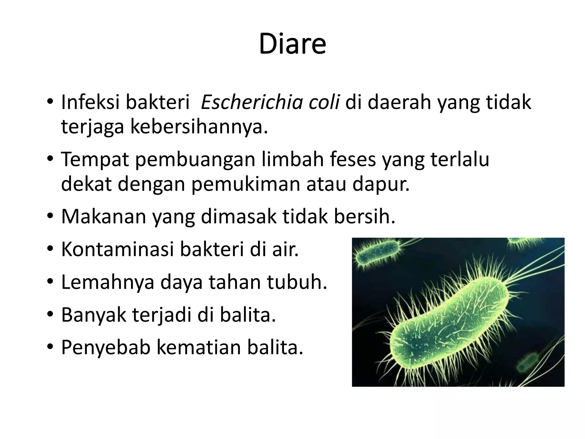 03 patologi manusia penyakit infeksi | PDF