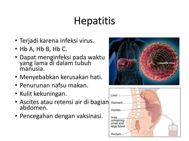 03 patologi manusia penyakit infeksi | PDF