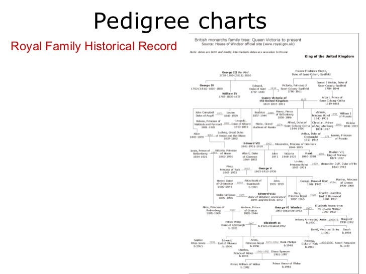 Royal Family Pedigree Chart