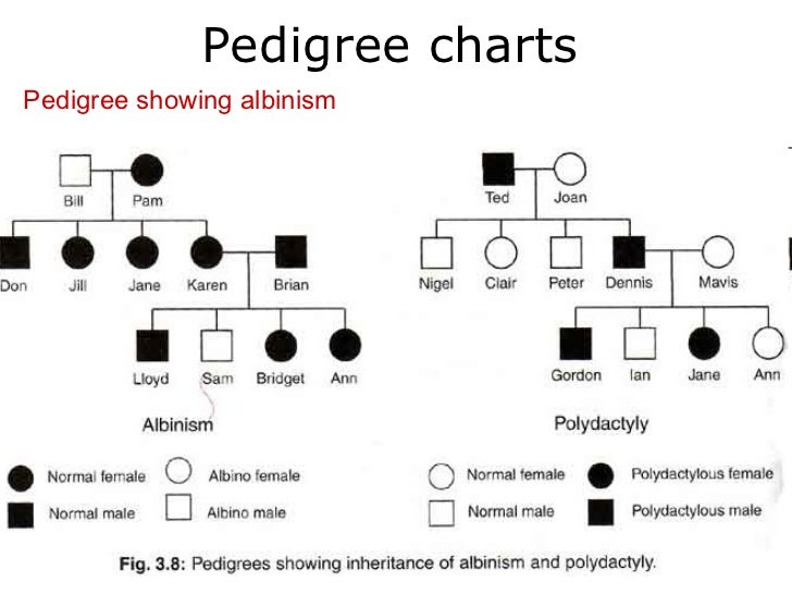Albinism Chart