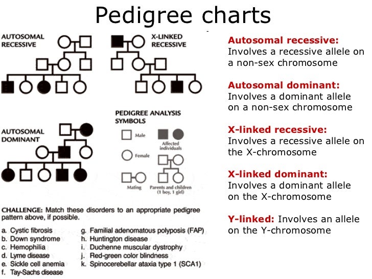 Autosomal Recessive Pedigree Chart