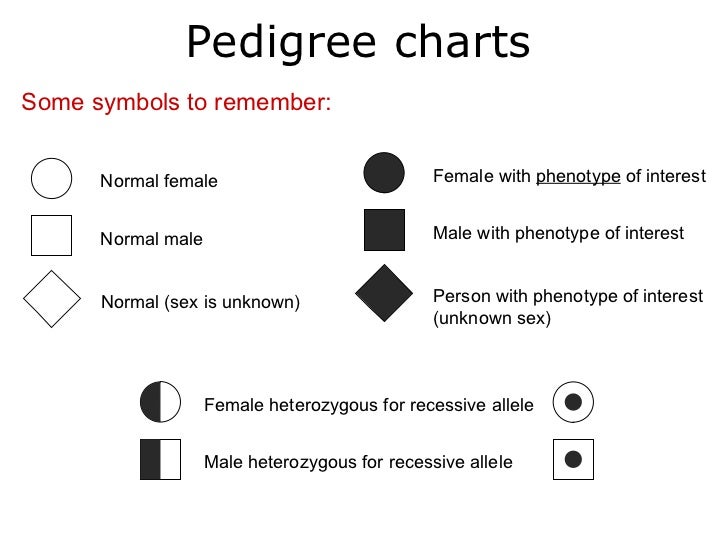 Pedigree Chart Symbols