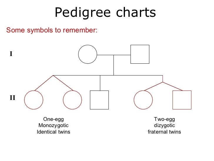 male n symbol of female ii charts one to symbols egg pedigree remember i some
