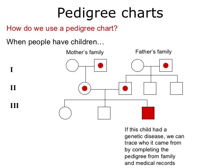 A Pedigree Is A Chart That Shows