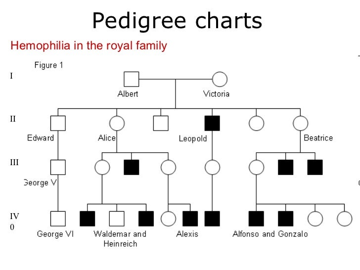 Sample Pedigree Chart
