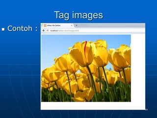 49
Tag images
 Contoh :
 