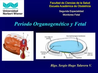 Facultad de Ciencias de la Salud
Escuela Académica de Obstetricia
Segunda Especialidad
Monitoreo Fetal
Periodo Organogenético y Fetal
Blgo. Sergio Hugo Talavera V.
 