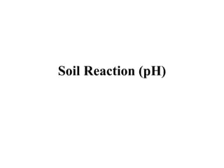 Soil Reaction (pH)
 