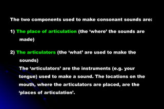 The two components used to make consonant sounds are:
1) The place of articulation (the ‘where’ the sounds are
made)
2) The articulators (the ‘what’ are used to make the
sounds)
The ‘articulators’ are the instruments (e.g. your
tongue) used to make a sound. The locations on the
mouth, where the articulators are placed, are the
‘places of articulation’.
 