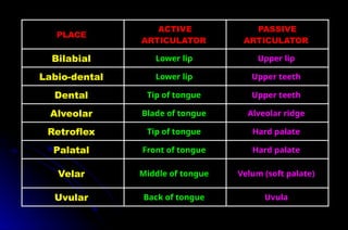 PLACE
ACTIVE
ARTICULATOR
PASSIVE
ARTICULATOR
Bilabial Lower lip Upper lip
Labio-dental Lower lip Upper teeth
Dental Tip of tongue Upper teeth
Alveolar Blade of tongue Alveolar ridge
Retroflex Tip of tongue Hard palate
Palatal Front of tongue Hard palate
Velar Middle of tongue Velum (soft palate)
Uvular Back of tongue Uvula
 