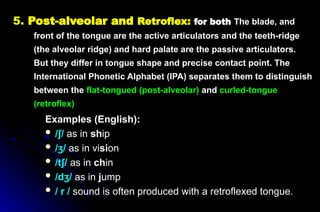5. Post-alveolar and Retroflex: for both The blade, and
front of the tongue are the active articulators and the teeth-ridge
(the alveolar ridge) and hard palate are the passive articulators.
But they differ in tongue shape and precise contact point. The
International Phonetic Alphabet (IPA) separates them to distinguish
between the flat-tongued (post-alveolar) and curled-tongue
(retroflex)
Examples (English):
 / /
ʃ as in ship
 / /
ʒ as in vision
 /t /
ʃ as in chin
 /d /
ʒ as in jump
 / r / sound is often produced with a retroflexed tongue.
 