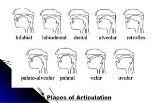 Places of Articulation
 