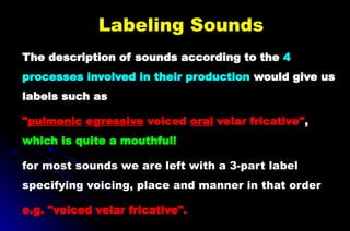 Labeling Sounds
The description of sounds according to the 4
processes involved in their production would give us
labels such as
"pulmonic egressive voiced oral velar fricative",
which is quite a mouthful!
for most sounds we are left with a 3-part label
specifying voicing, place and manner in that order
e.g. "voiced velar fricative".
 