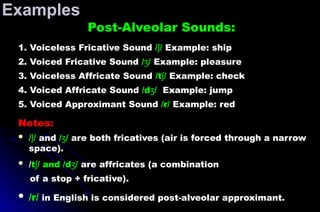 Post-Alveolar Sounds:
1. Voiceless Fricative Sound / /
ʃ Example: ship
2. Voiced Fricative Sound / /
ʒ Example: pleasure
3. Voiceless Affricate Sound /t /
ʃ Example: check
4. Voiced Affricate Sound /d /
ʒ Example: jump
5. Voiced Approximant Sound /r/ Example: red
Notes:
 / /
ʃ and / /
ʒ are both fricatives (air is forced through a narrow
space).
 /t / and /d /
ʃ ʒ are affricates (a combination
of a stop + fricative).
 /r/ in English is considered post-alveolar approximant.
Examples
 