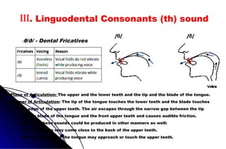 .
Place of Articulation: The upper and the lower teeth and the tip and the blade of the tongue.
Manner of Articulation: The tip of the tongue touches the lower teeth and the blade touches
the edge of the upper teeth. The air escapes through the narrow gap between the tip
and the blade of the tongue and the front upper teeth and causes audible friction.
However, these sounds could be produced in other manners as well:
• The tongue tip may come close to the back of the upper teeth.
• The tip or blade of the tongue may approach or touch the upper teeth.
III. Linguodental Consonants (th) sound
/θ/ð/ - Dental Fricatives
 