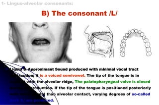 B) The consonant /L/
Liquid & Approximant Sound produced with minimal vocal tract
obstruction; it is a voiced semivowel. The tip of the tongue is in
contact with the alveolar ridge, The palatopharyngeal valve is closed
during its production. If the tip of the tongue is positioned posteriorly
with more palatal than alveolar contact, varying degrees of so-called
dark /L/ are produced.
1- Linguo-alveolar consonants:
 