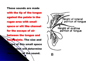 These sounds are made
with the tip of the tongue
against the palate in the
rugae area with small
space or slit like channel
for the escape of air
between the tongue and
hard palate. The size and
shape of this small space
or channel will determine
the quality of the sound.
 