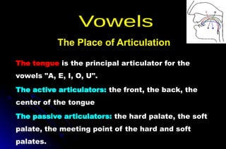 The tongue is the principal articulator for the
vowels "A, E, I, O, U".
The active articulators: the front, the back, the
center of the tongue
The passive articulators: the hard palate, the soft
palate, the meeting point of the hard and soft
palates.
The Place of Articulation
 