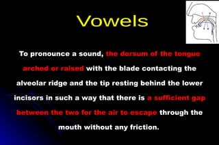 To pronounce a sound, the dorsum of the tongue
arched or raised with the blade contacting the
alveolar ridge and the tip resting behind the lower
incisors in such a way that there is a sufficient gap
between the two for the air to escape through the
mouth without any friction.
 