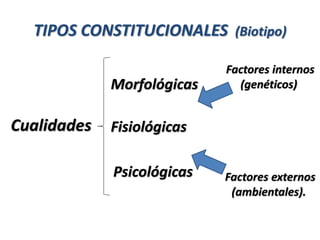 TIPOS CONSTITUCIONALES (Biotipo)
Cualidades Fisiológicas
Psicológicas
Morfológicas
Factores externos
(ambientales).
Factores internos
(genéticos)
 