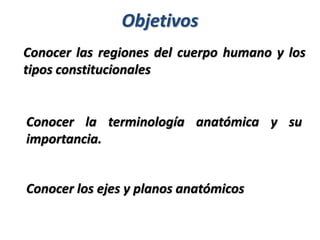 Objetivos
Conocer las regiones del cuerpo humano y los
tipos constitucionales
Conocer la terminología anatómica y su
importancia.
Conocer los ejes y planos anatómicos
 
